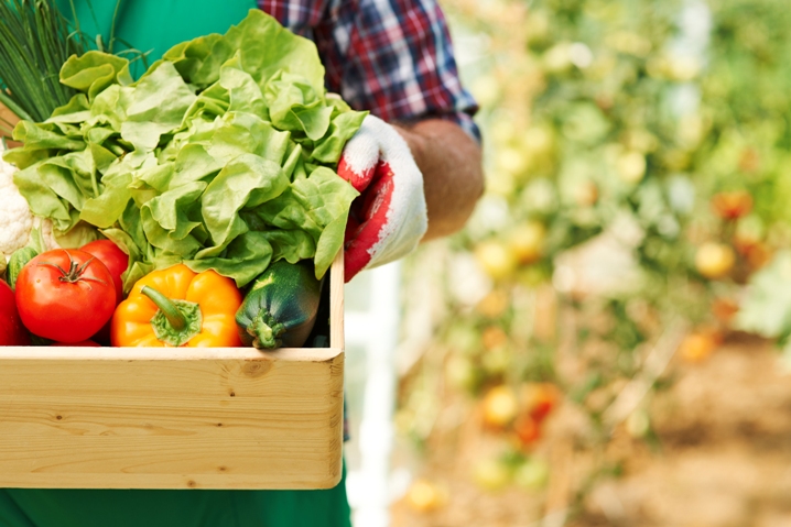 Verduras e legumes em uma cesta.
