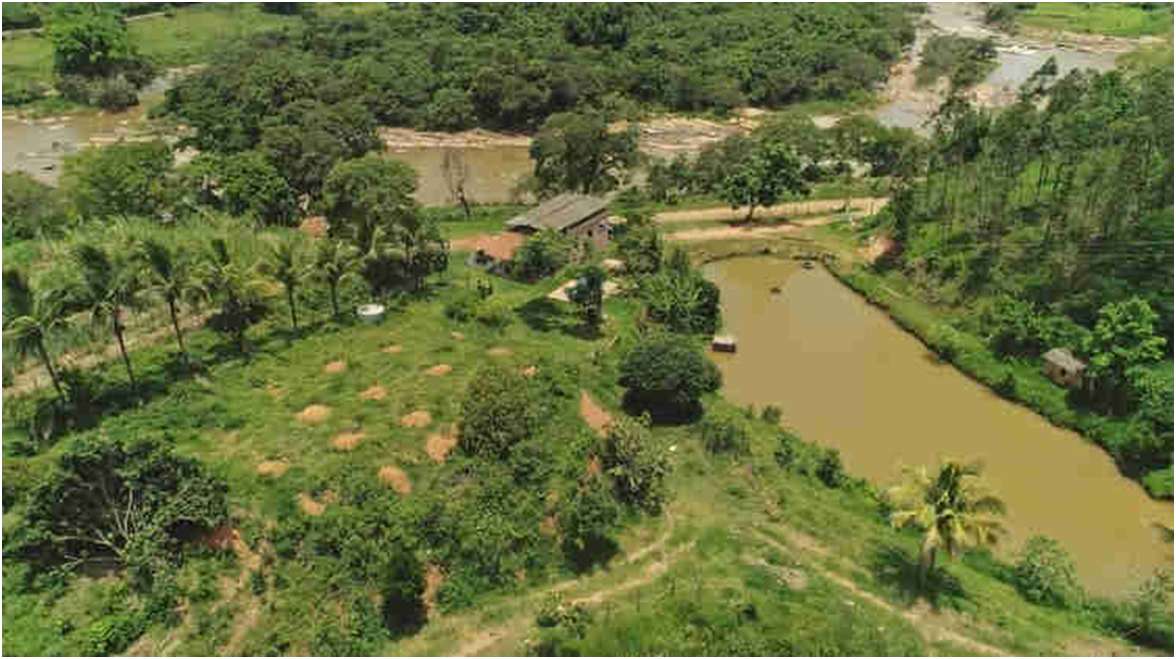 Foto feita de drone de uma propriedade onde foram feitos serviços ambientais