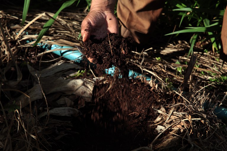 Agricultor com a mão na terra utilizando bioensumos na plantação
