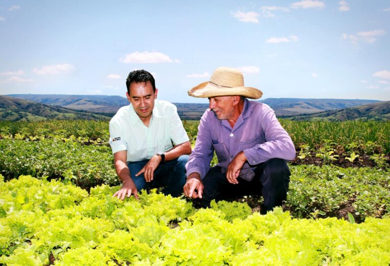 Técnico da Emater orienta agricultor