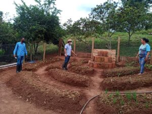 As hortas circulares são uma estratégia para melhorar a qualidade de vida de pequenos agricultores (Foto Epamig/Divulgação)
