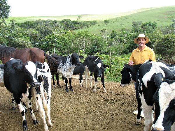 Criador de gado em meio às vacas