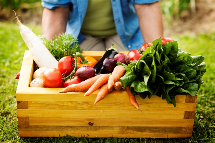 Caixa com legumes e verduras 
