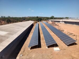 Paineis solares instalados nas granjas integradas produzem 60% da energia consumida. (Foto: Avivar)