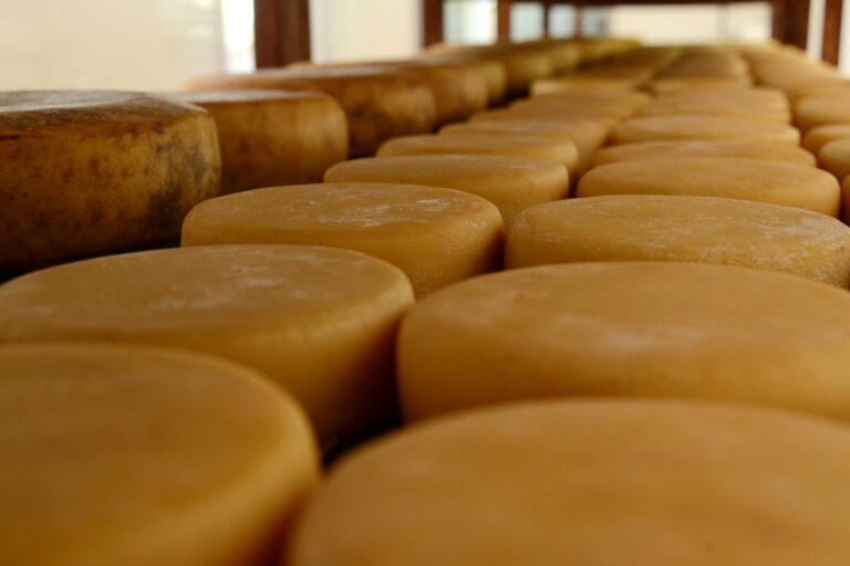 Minas pretende exportar produtos lácteos para outros mercados (Foto: Gil Leonardi / Imprensa MG)