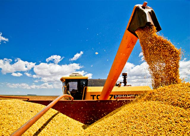 Safra de grãos no Brasil deve bate recorde