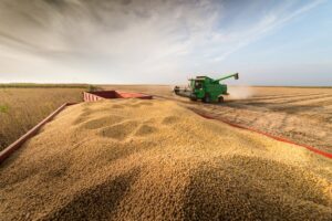 Companhia Nacional de Abastecimento estima recuperação na safra de grãos. (Foto: Ministério da Agricultura, Pecuária e Abastecimento)