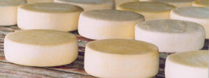 Lei criada pela prefeitura foi aprovada pelos vereadores de Bom Despacho e regulamenta produção de queijos artesanais na cidade. (Foto: Agência Minas)