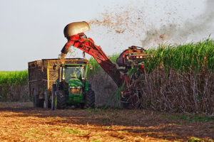 Entidades do setor afirmam que maior parte da moagem é para a produção de biocombustível. (Foto: Única)