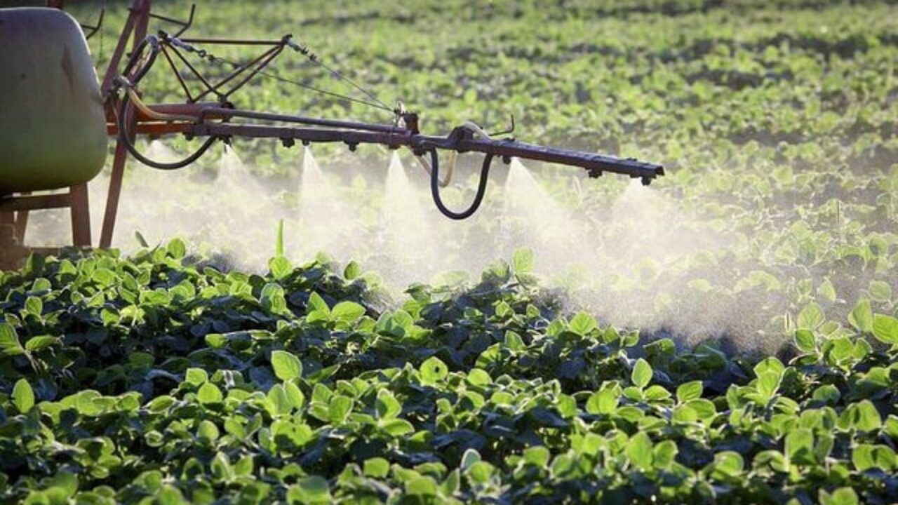 Importação de fertilizantes da Rússia traz segurança aos agricultores – Uai Agro