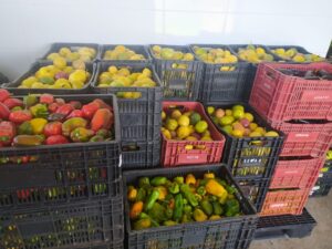 Os alimentos vão ser doados para entidades assistenciais da cidade. (Foto: Prefeitura de Divinópolis)
