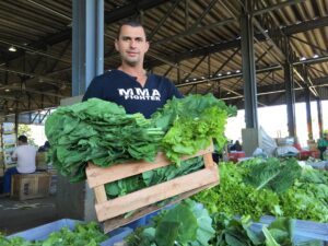 Preço das hortaliças subiu 21% na Ceasa Minas. (Foto: Ceasa)