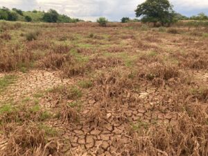 Terreno todo trincado