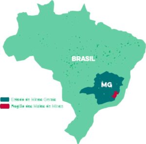 Na área vermelha estão 52 municípios na Zona da Mata e 12 no Vale do Rio Doce. Todos são Matas de Minas. (Arte: Divulgação)