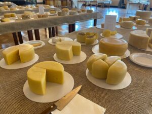 Vários queijos artesanais são avaliados pelos jurados durante o concurso. (Foto: Seapa)