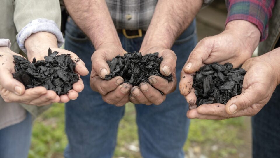 carvão em mãos