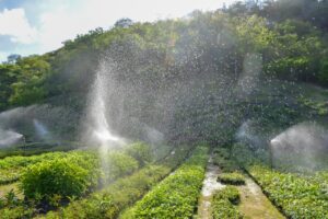 Irrigadores em plantas