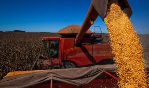 Programa pretende aumentar disponibilidade de grãos. (Foto: CNA)