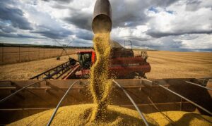 Conab estima crescimento de 6,2% na safra de grãos. (Foto: CNA/Wenderson Araujo/Trilux)