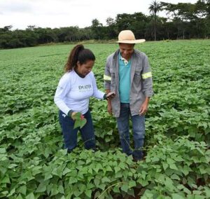 Emater ajudou os agricultores de Jequitibá. (Foto: Agência Minas)