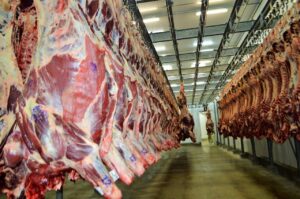 Faturamento com exportação de carne bovina cresceu 55,9% de janeiro a maio deste ano. (Foto: Seagri-RO)