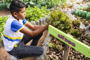 Projeto pretende envolver os alunos no cultivo das hortas. (Foto: Andrea Rêgo Barros/PCR)