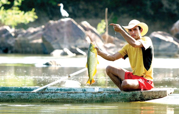 Veja o novo modelo de carteirinhas de pescador amador ou esportivo – Uai  Agro