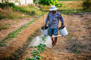 O Dia do Agricultor é uma homenagem aos mais de 9 mil trabalhadores do campo. (Foto: Pexels)