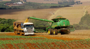 Em Divinópolis, a agropecuária foi o único setor com mais demissões que contratações. (Foto: José Fernando Ogura/AEN-PR)
