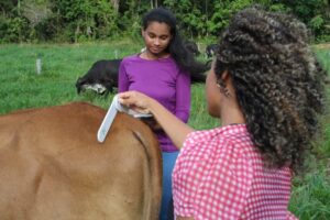 Especializado nos processos de produção pecuária e no processamento de alimentos de origem animal (Foto: Mapa)