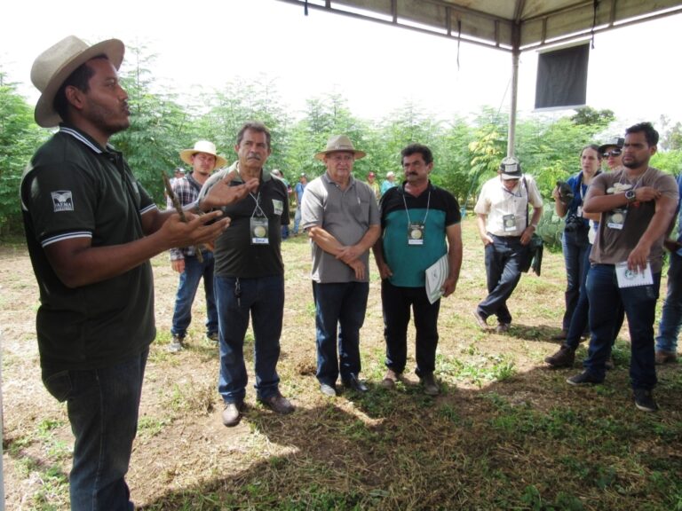 1600 produtores são atendidos atualmente pelo programa em Minas. (Foto: Faemg)