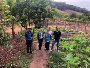 Projeto ubaense visa a diversificação dos alimentos produzidos pela agricultura familiar e o incentivo ao cultivo sem agrotóxicos (Foto: Divulgação).