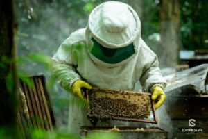A apicultura é uma atividade que gera renda e também recebe apoio do instituto. (Foto: Edmar Silva)