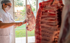 A China segue como principal país comprador da carne suína brasileira. (Foto: CNA)
