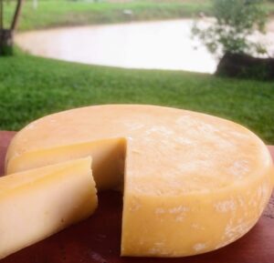 Minas fomenta a produção de queijo no estado, por meio das ações do Senar. (Foto: Divulgação)