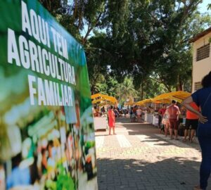 Agricultura familiar é fortalecida em Baguari. (Foto: Leonardo Morais)